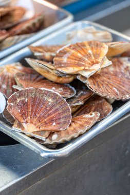 Taze deniz tarakları Fransa 'nın Paris kentindeki bir deniz ürünleri pazarında metal bir tepside sergilenmektedir. Kabukları turuncu ve kahverengidir..