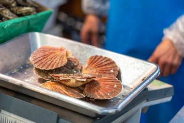Taze deniz tarakları Fransa 'nın Paris kentindeki bir deniz ürünleri pazarında metal bir tepside. Arka planda bir satıcı var. Kabukları turuncu ve kahverengidir..