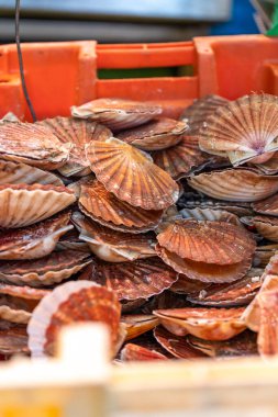 Taze deniz tarakları Fransa 'nın Paris kentindeki bir deniz ürünleri pazarında satılıktır. Kabukları turuncu ve kahverengidir..