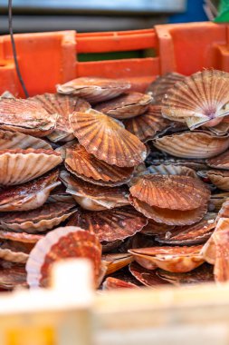 Taze deniz tarakları Fransa 'nın Paris kentindeki bir deniz ürünleri pazarında satılıktır. Kabukları turuncu ve kahverengidir..