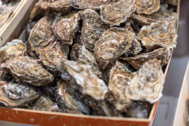 Kaba ve katmanlı taze istiridyeler Fransa 'nın Paris kentindeki bir deniz ürünleri pazarında ahşap bir sandıkta satılıktır. Kabuklar çeşitli kahverengi ve gri renklere sahiptir..