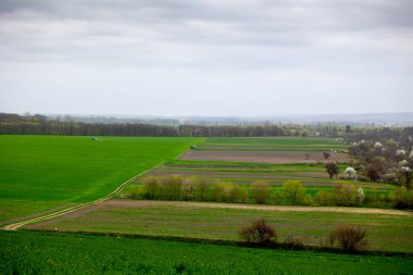 Çiftçiler, Nisan ayı sonlarında Ukrayna 'nın Cherkasy bölgesindeki Mliyiv köyündeki bir kış tahıl tarlasına gübre uyguluyorlar. Fotoğraf, özel sebze bahçesi olan geniş bir tarla gösteriyor..