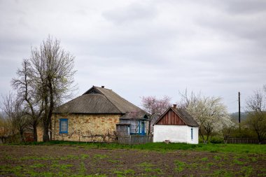 Nisan ayı sonlarında, Ukrayna 'nın Çerkasya bölgesindeki Mliyiv köyünde bir tuğla ev ve beyaz bir kulübe çiçek açan bir ağaçla birlikte. Fotoğrafın ön planında bir alan var..