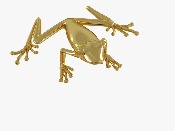 Golden frog on a white background 3d rendering