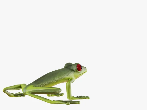 Green Frog White Background Rendering — Stock Photo, Image
