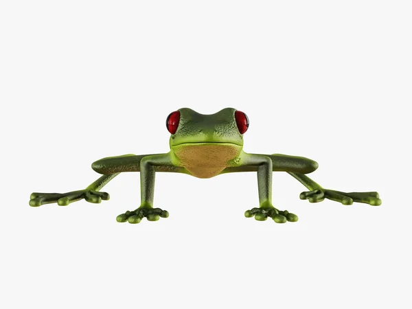 Beyaz Arka Planda Render Yeşil Kurbağa Önden Görünüm — Stok fotoğraf
