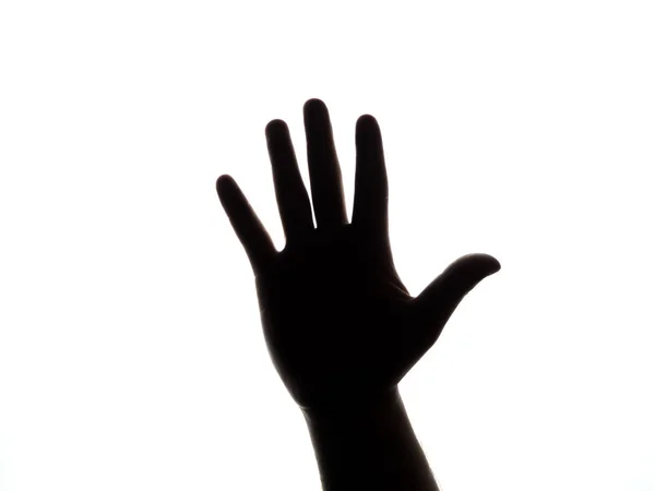 Чоловіча рука на білому тлі силует п'яти пальців — стокове фото