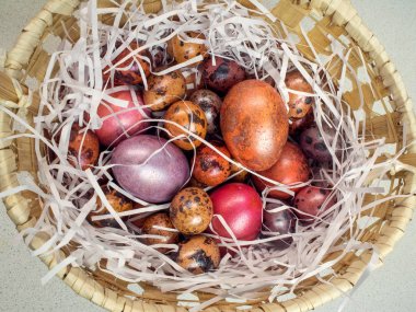 Paskalya tatili için bir sepet içinde boyalı tavuk ve bıldırcın yumurtası