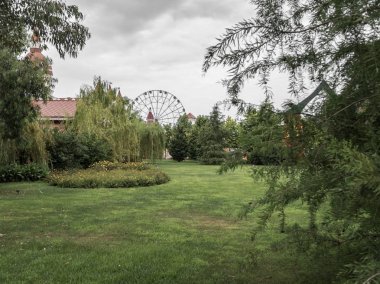 Sochi Park cazibe Dönme Dolap arka planda ağaçlar ile Yeşil çim