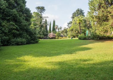 Yeşil çim ile güzel çim. Park Arboretum Russia Sochi
