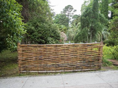 Ağaçların arka planda küçük bir bambu çit. Park Arboretum