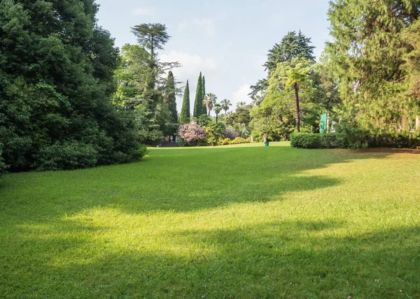 Yeşil çim ile güzel çim. Park Arboretum Russia Sochi