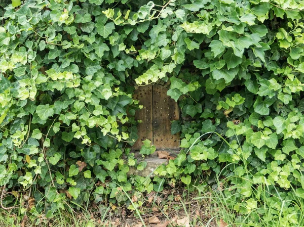 Pequena porta de madeira marrom em folhas. Parque Arboreto — Fotografia de Stock