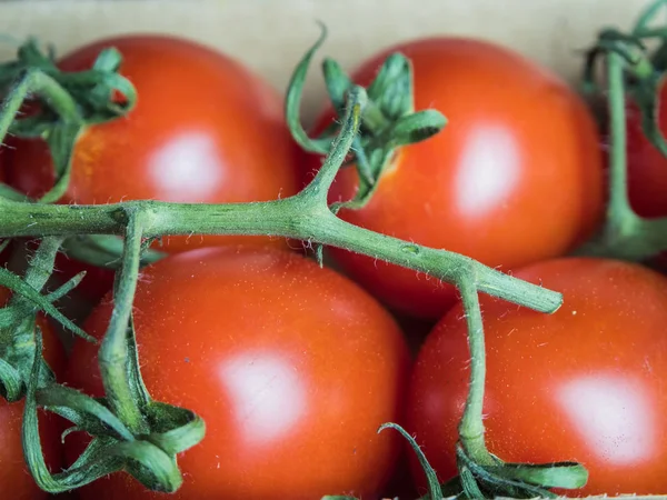 Tomates rojos frescos con ramita verde en la mesa — Foto de Stock