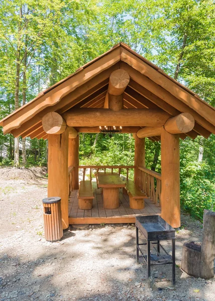 Hermosa casa de verano de un tronco de un gran árbol con barbacoa para barbacoa en el bosque — Foto de Stock