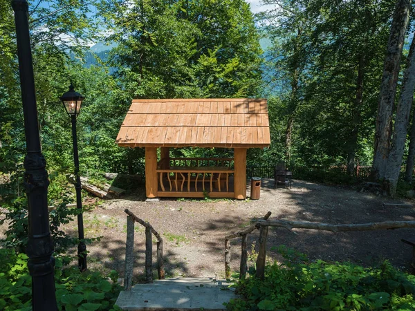 Mooi zomerhuis uit een logboek van een grote boom met barbecue voor barbecue in bos — Stockfoto