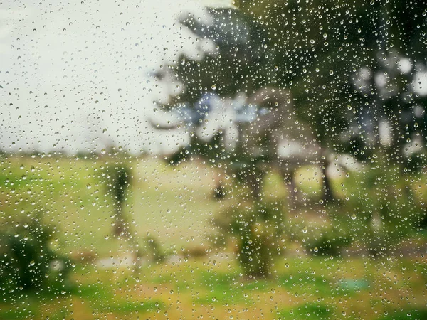 Kilátás nedves üvegen keresztül a zöld gyepen és fákon — Stock Fotó