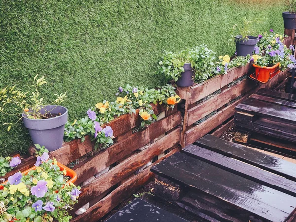 Wooden wet pallets stand near a wooden border with flowers viola tricolor next to a wall with a decorative green artificial grass coating — Stock Photo, Image