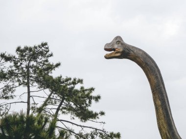 Rusya, Soçi 14.03.2020. Dinozor brachiosaurus heykeli kafası uzun bir boyunla gökyüzüne karşı bir ağacın yanında.