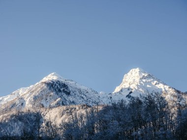 Önünde orman, arkasında mavi gökyüzü olan karla kaplı dağ zirveleri.