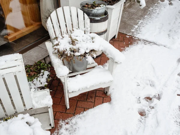 En trästol med en hink med en gulfärgad barrväxt står beströdd med snö utanför — Stockfoto