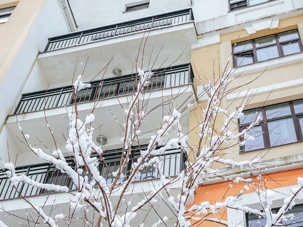 Fragmento de un edificio con balcones y ventanas con ramas de árboles cubiertas de nieve en primer plano. Vista de abajo hacia arriba — Foto de Stock