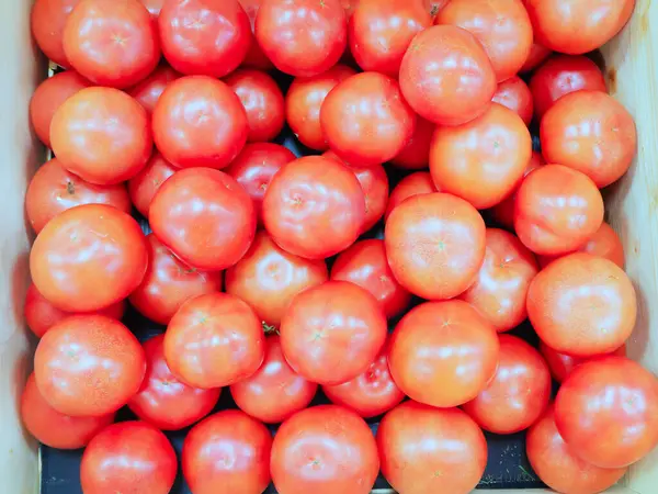 Er ligt een stapel rode tomaten in een la. Foto 's op volledig scherm — Stockfoto