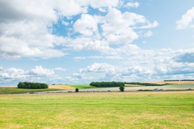 Yeşil otlar çayırlar ve küçük tepeler ve mavi gökyüzü bulutlu buğday alanları alanı ile manzara. Seçici odak. kopya alanı