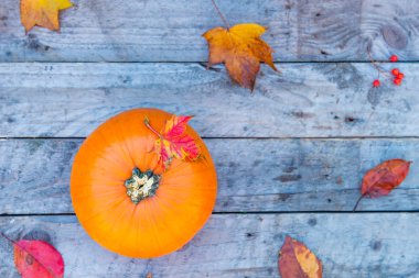 Üstten görünüm kabak Güz akçaağaç ile eski rustik ahşap arka plan üzerinde bırakır. Sonbaharda hasat, Şükran günü, Cadılar Bayramı kavramı. sağlıklı bir diyet yemek. Seçici odak. Kopya alanı