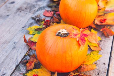 Üç kabak ile akçaağaç yaprakları eski rustik ahşap arka plan üzerine düşmek. Sonbaharda hasat, Şükran günü, Cadılar Bayramı kavramı. sağlıklı bir diyet yemek. Seçici odak. Kopya alanı