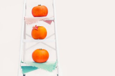 Peçete merdivenlerde basamak merdiven basamaklarında izole beyaz arka plan üzerinde akçaağaç yaprağı ile üç kabak bileşimi. Sonbahar tatil, hasat, Helloween kavramı. Seçici odak, kopya alanı.