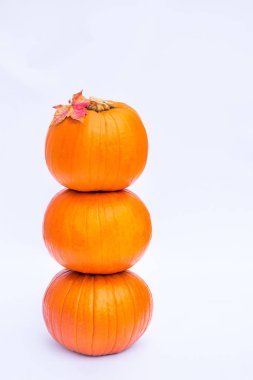 Üç yığılmış mini kabak ile kulenin akçaağaç yaprağı izole beyaz zemin üstüne düşmek. Sonbahar tatil, hasat, Helloween kavramı. Seçici odak, kopya alanı