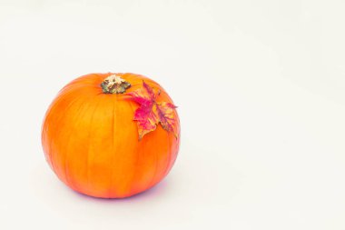 Olgun kabak ile akçaağaç yaprağı izole beyaz zemin üstüne düşmek. Sonbahar tatil, hasat, Helloween kavramı. Vintage tonlama. Seçici odak, kopya alanı