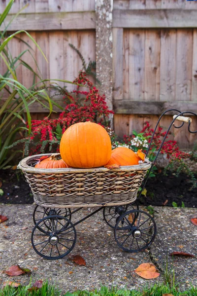 Vintage Garden Carriage Basket Small Pumpkins Autumn Harvest Thanksgiving Halloween — Stock Photo, Image