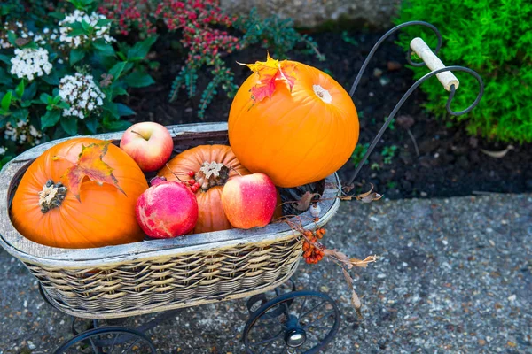 小南瓜和苹果在花园里的老式草车篮子里 万圣节 自然的概念 健康的饮食食品 选择性对焦 复制空间 — 图库照片