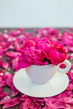 Mor pembe şakayık çiçekleri buketi dekoratif Kupası ve daire peonies yaprakları koyu arka plan üzerine kapatın. Aşk Hediyelik tebrik iltifat kavramı. Yumuşak seçici odak. Dikey kart. Kopya alanı.