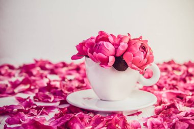 Pembe şakayık çiçekleri buketi dekoratif Kupası ve daire peonies yaprakları ile beyaz zemin üzerine kapatın. Aşk Hediyelik tebrik iltifat kavramı. Soğuk vintage Tönning. Seçici odak. Kopya alanı