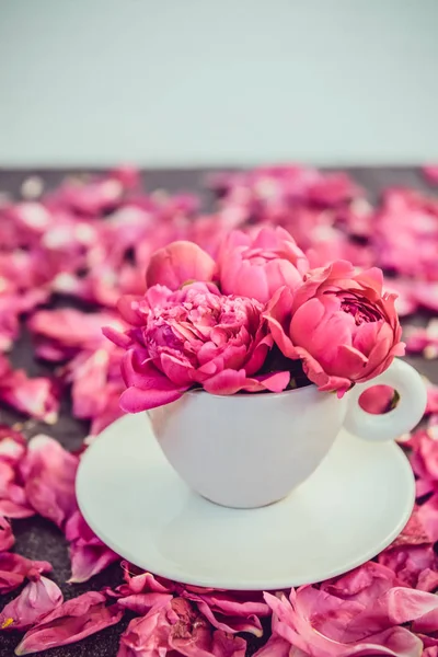 Cierre Ramo Flores Peonía Rosa Claro Una Taza Decorativa Platillo —  Fotos de Stock