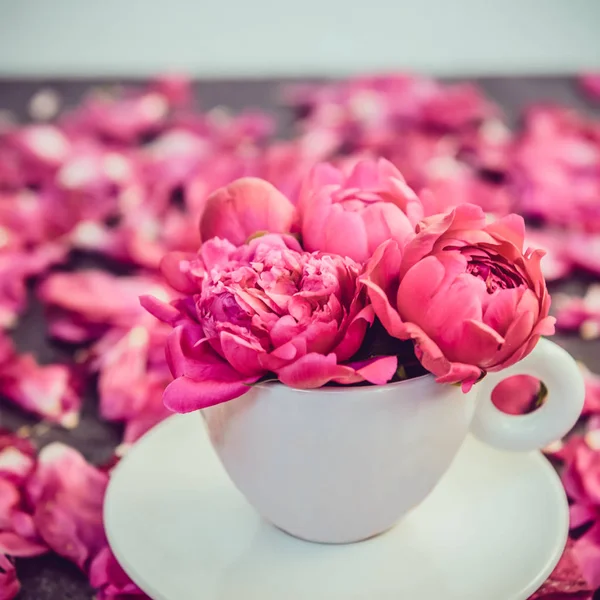 Cierre Ramo Flores Peonía Rosa Claro Una Taza Decorativa Platillo —  Fotos de Stock