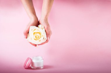 Kadın elleri, pembe arka planda izole bir krem kavanoz üzerinde düşen esansiyel yağ düşmesi ile taze gül çiçek tutarak. Organik saf doğal yağlar. Spa ve aromaterapi. Ön görünüm. Metin alanı.