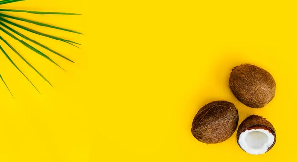 Tropisch groen palmblad en half en twee hele kokosnoten op een gele achtergrond. Tropische zomer model brede banner. Minimale flatlay. Natuurlijke ingrediënt voor voedsel en huidverzorging schoonheid. Kopieerruimte. — Stockfoto