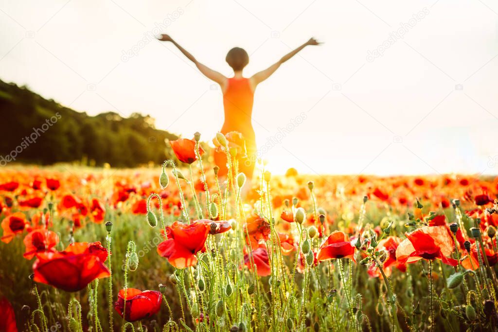 Focused red poppy flower and blurred back view girl in flowers meadow in sunset. Young woman in red dress arms raised up to the sky, celebrating freedom. Positive emotions feeling life, peace of mind