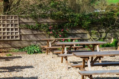 Boş köylü tarzı açık hava kafesi, ahşap masalar ve duvarında çiçek açan bitkiler olan banklar. Kırsal dış görünüş. Boşluğu kopyala.