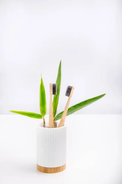 A family set of two wooden toothbrushes standing with fresh bamboo leaves in white fluted holder with bamboo basis on white background. Eco-friendly and zero waste lifestyle. Minimalism. Copy space. — Stock Photo, Image