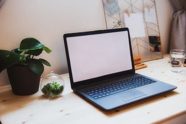 Vista lateral Moderno local de trabalho minimalista com maquete laptop com tela branca vazia em mesa de madeira com placa de humor e notas pined, plantas verdes no espaço de trabalho no interior da sala de escritório em casa. Espaço de cópia. — Fotografia de Stock