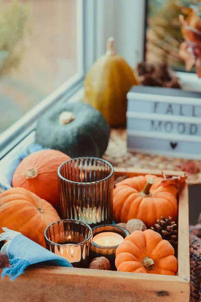 Autumn cozy mood composition on the windowsill. Pumpkins, cones, candles on wooden tray, blurred Fall mood message on lightbox, warm plaid. Autumn, fall, hygge home decor. Selective focus. Copy space. — Stock Photo, Image