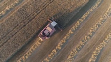 Yulaf uçuş alan, yulaf, yükseklik birleştirmek hasat görünümden kaldırır.