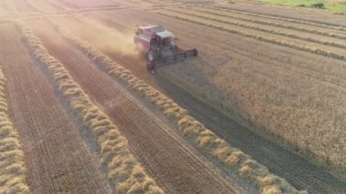 Yulaf uçuş alan, yulaf, yükseklik birleştirmek hasat görünümden kaldırır.