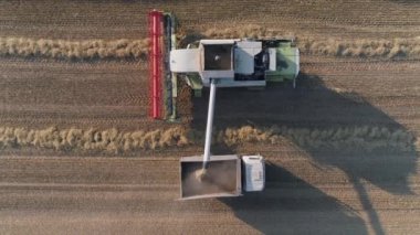 ombine hasat alanında, dökülen tahıl ve kamyon vücuda yulaf yükseklikten görüntülemek.