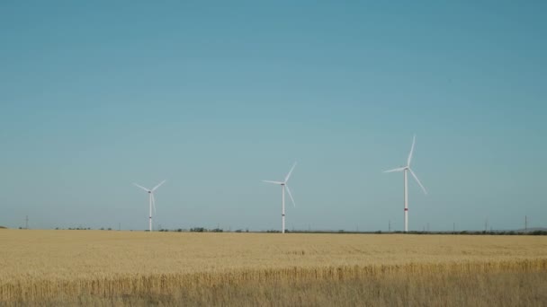 Větrné Turbíny Pole Ovsa Příroda Alternativní Zdroje Energie — Stock video